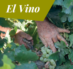 El Vino