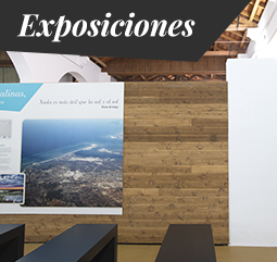 Exposiciones