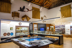 sala la sal