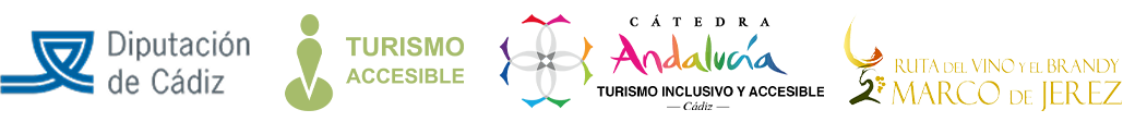 logo accesibilidad