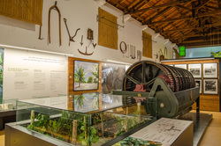 SALA VINO